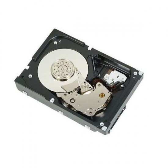 DELL 1TB 3.5" 11035C72ST-1T 7200RPM SATA-3 Sunucu Disk