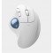 LOGITECH M575S Ergo Kablosuz Trackball Siyah Mouse 910-007029