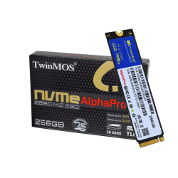 TWINMOS 256GB NVMe256GB2280AP 3600- 3250MB/s M2 NVME GEN3 Disk